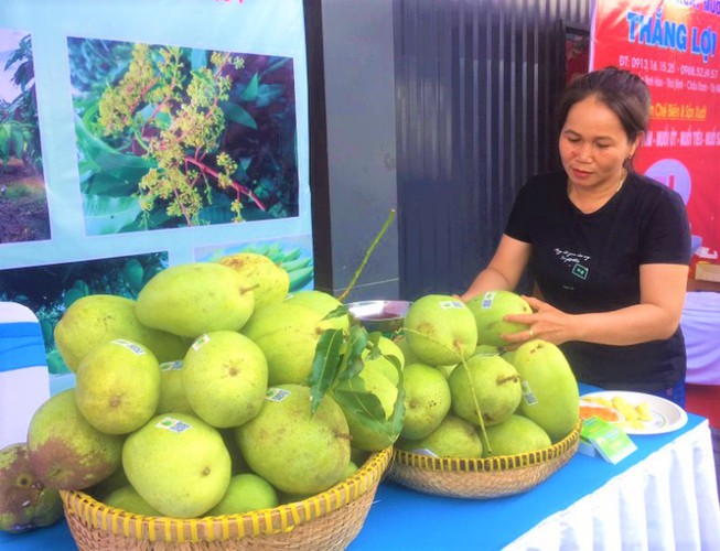 2,8 millions USD d’exportations vietnamiennes de mangues aux Etats-Unis