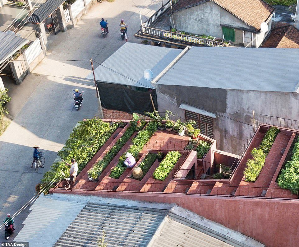 Deux maisons au Vietnam remportent le prix Dezeen 2020