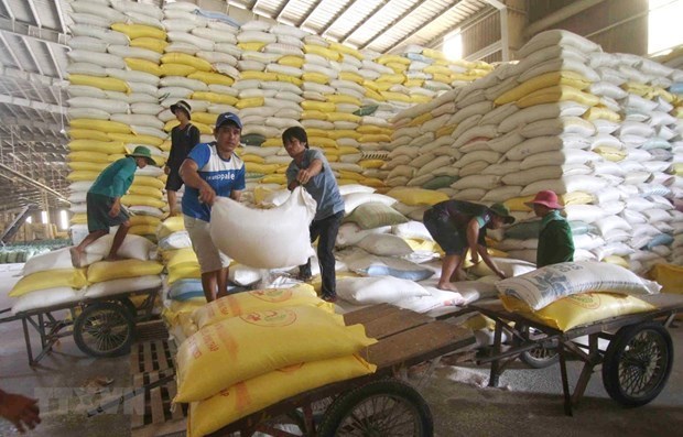 Le prix du riz vietnamien à l exportation atteint son plus haut niveau en 9 ans