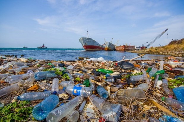 Bilan de la première année du mouvement contre les déchets plastiques