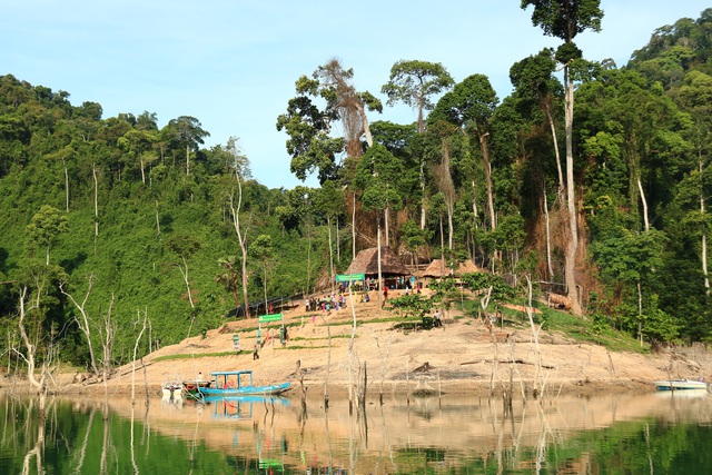 Quang Nam Création du parc national de Song Thanh
