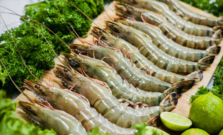 Poursuite de la croissance des exportations des crevettes sur de nombreux marchés