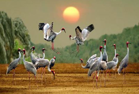 Les informations marquantes du 11 décembre