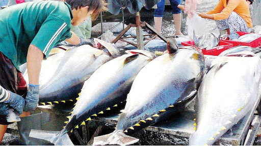 Produits aquatiques L’UKVFTA stimulera les exportations vietnamiennes vers le marché britannique