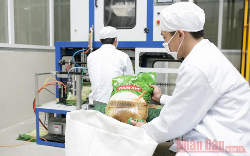 Avec une valeur élevée, le riz vietnamien conquiert le marché en toute confiance