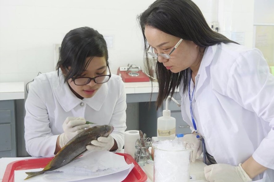 Des universitaires vietnamiens remportent des prix de recherche scientifique américains