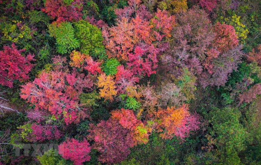 Hiver coloré dans une province montagneuse