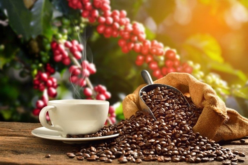 Exportations de café objectif de 6 milliards de dollars en 2030