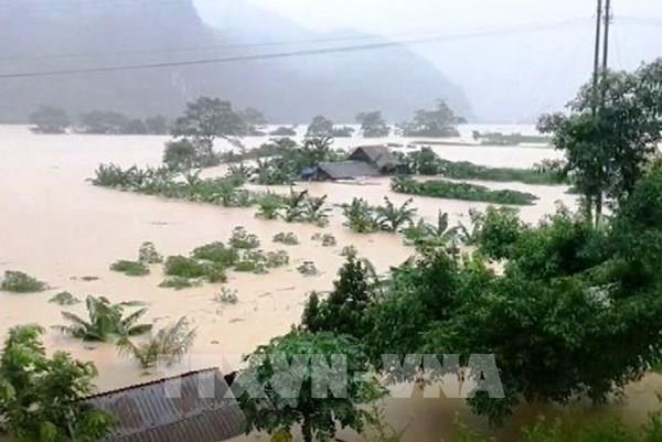 Catastrophes naturelles Aide de plus de 89 milliards de dongs pour 5 provinces