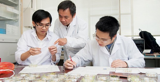 Un scientifique vietnamien au Japon découvre les bienfaits pour la santé des plantes envahissantes