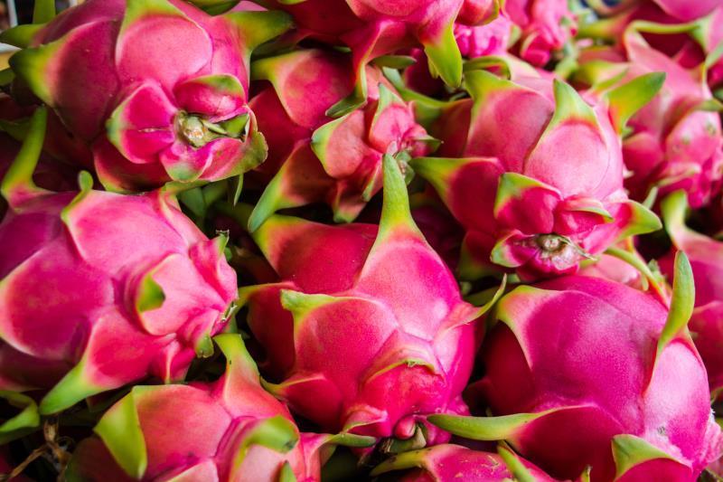 Plus de 14 000 tonnes de fruit du dragon exportées vers la Chine via Lao Cai