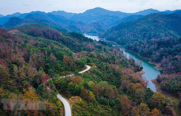 Plantation d’un milliard d arbres au cours de la période 2021-2025