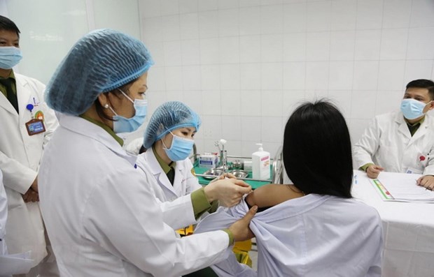 Covid-19 la 2e phase d essais du vaccin Nano Covax sur l humain prévue dans une semaine