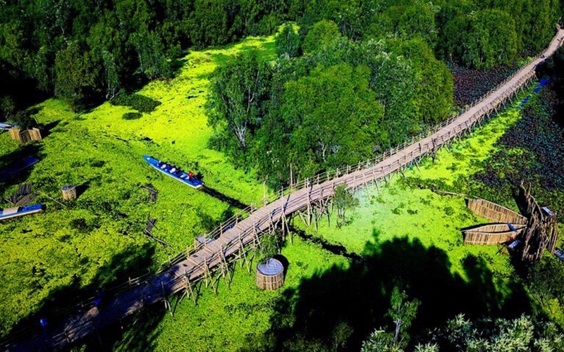 Visite printanière de la forêt de melaleuca Tra Su