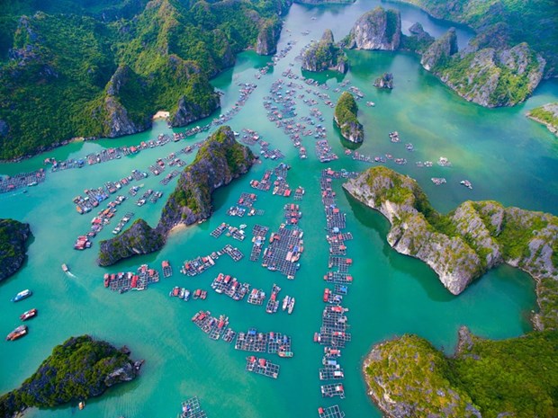 Cat Ba s’oriente vers le tourisme vert et durable