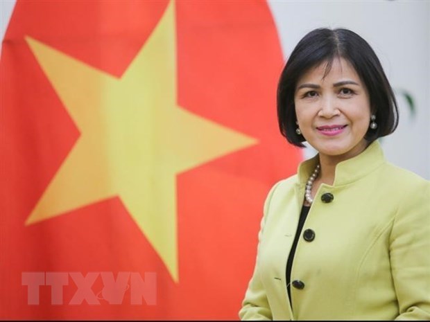 Le Vietnam soutient le rôle du Centre Sud dans la promotion de la coopération entre les pays en développement