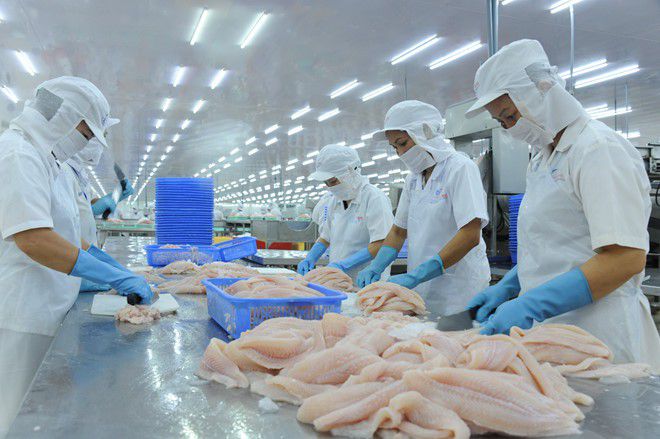 Exportations de produits aquatiques en hausse de 20 en janvier