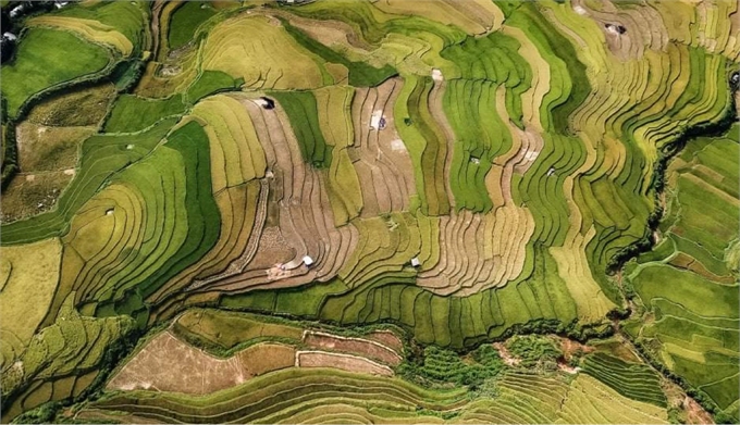 Un Vietnamien remporte l or à un concours international de photo