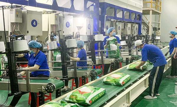 L’EVFTA booste les exportations vietnamiennes vers l UE