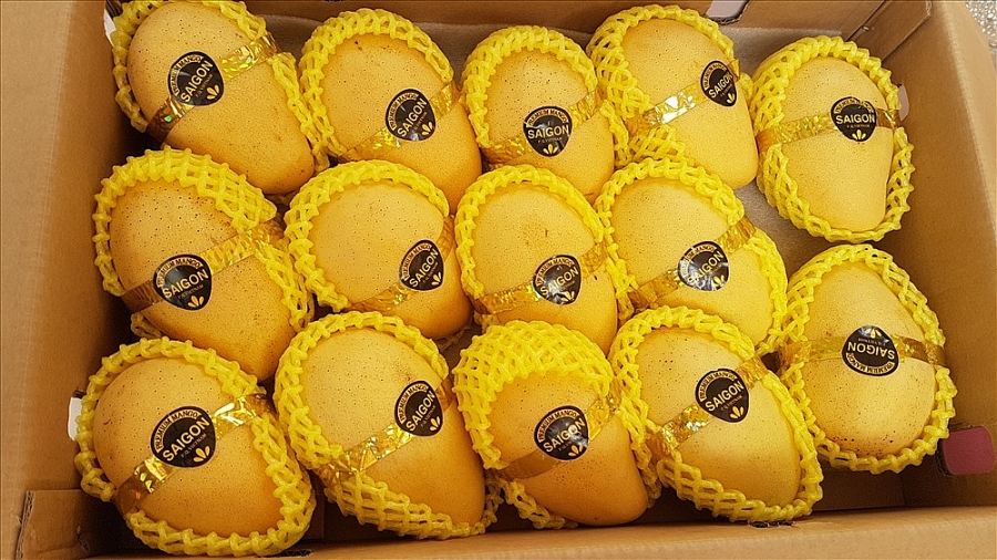 Les États-Unis augmentent leurs importations de mangues du Vietnam