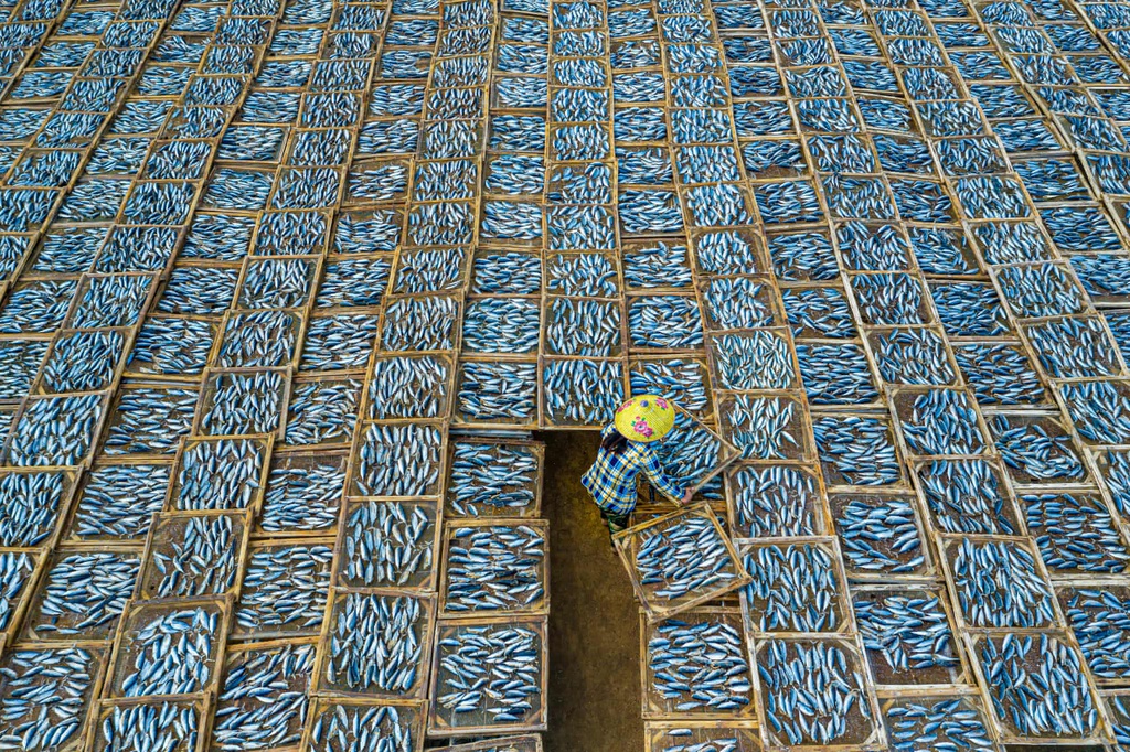 Une scène de séchage de poissons au Vietnam primée à un concours photographique