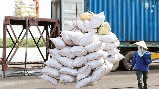 Le Vietnam exportera 50 000 tonnes de riz vers le Bangladesh en avril prochain
