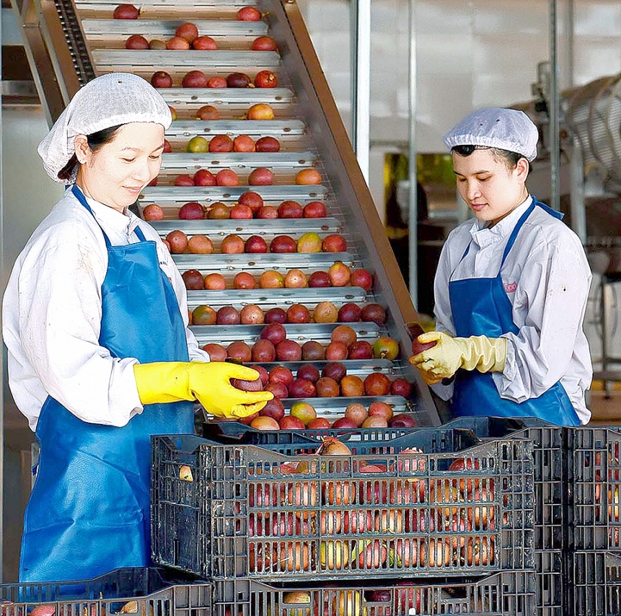 Promouvoir les avantages compétitifs des produits vietnamiens au Canada