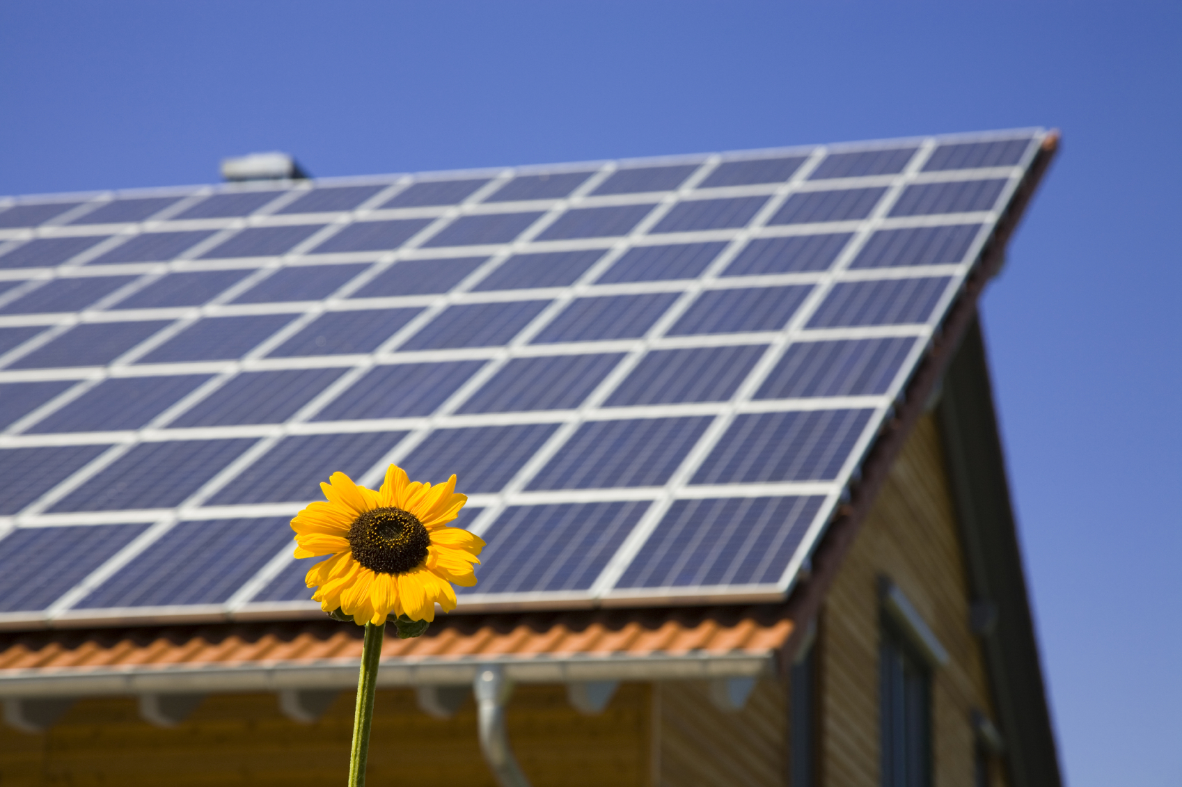 Un groupe britannique veut investir 500 MW dans l énergie solaire sur toitures à Dong Nai
