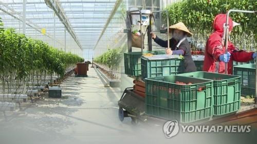 Les travailleurs vietnamiens bénéficient d une prolongation d un an de séjour en R de Corée