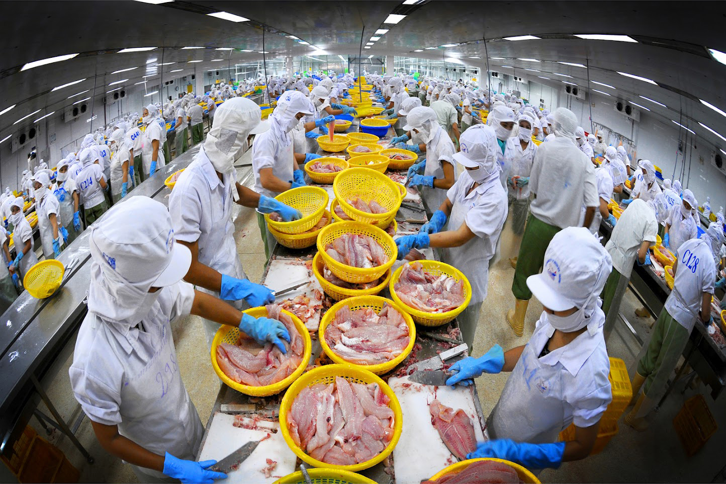 Le marché du pangasius reprend des couleurs après une année 2020 morose