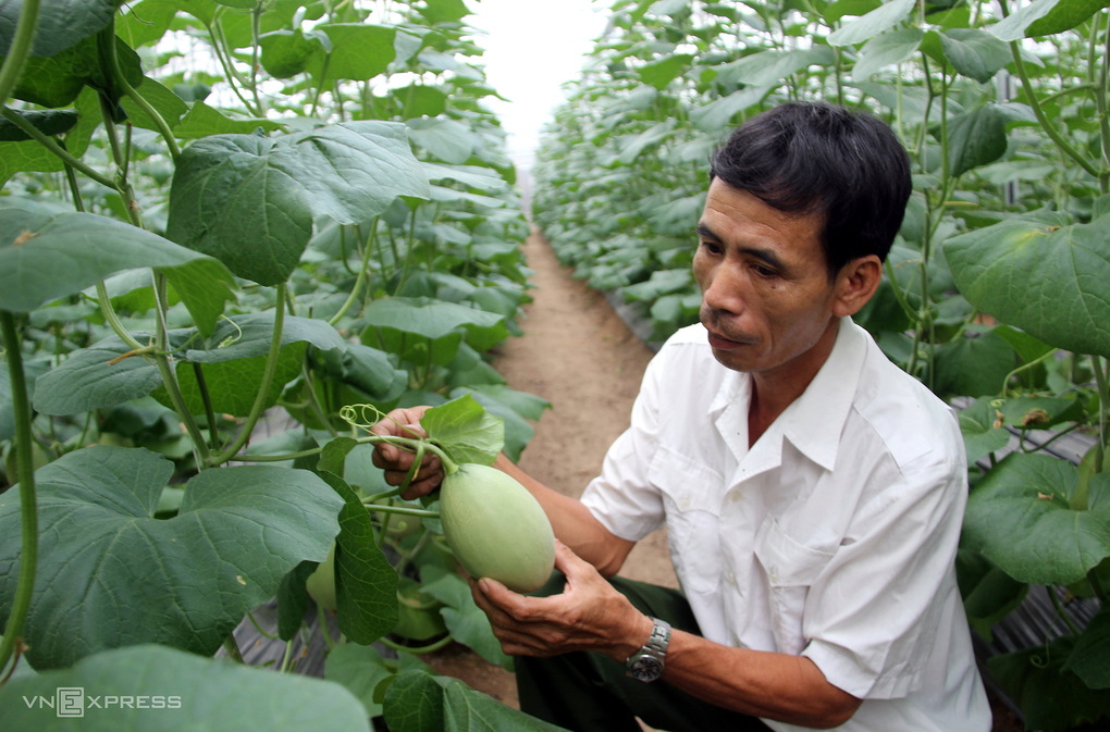 Le Vietnam se classe au 2e rang de l’ASEAN pour les perspectives de reprise de l agroalimentaire