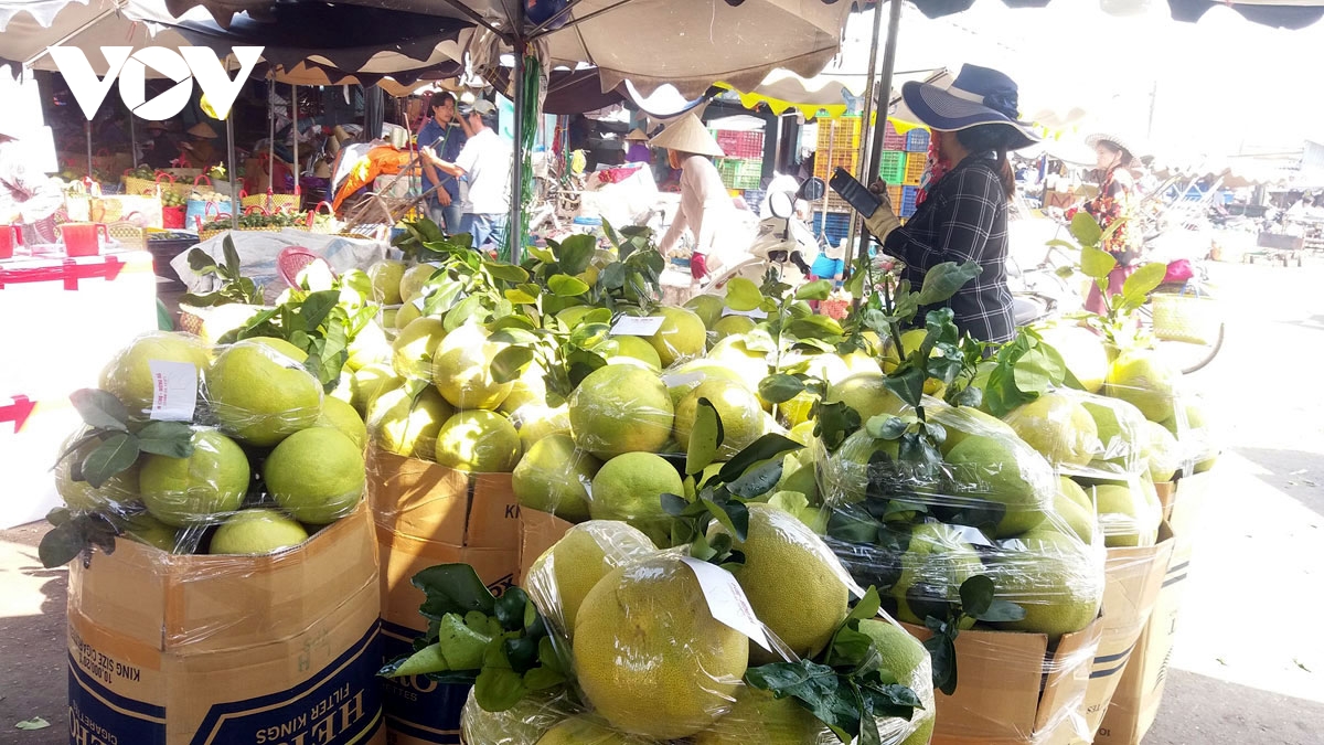 Le Vietnam, premier fournisseur de fruits à Taïwan