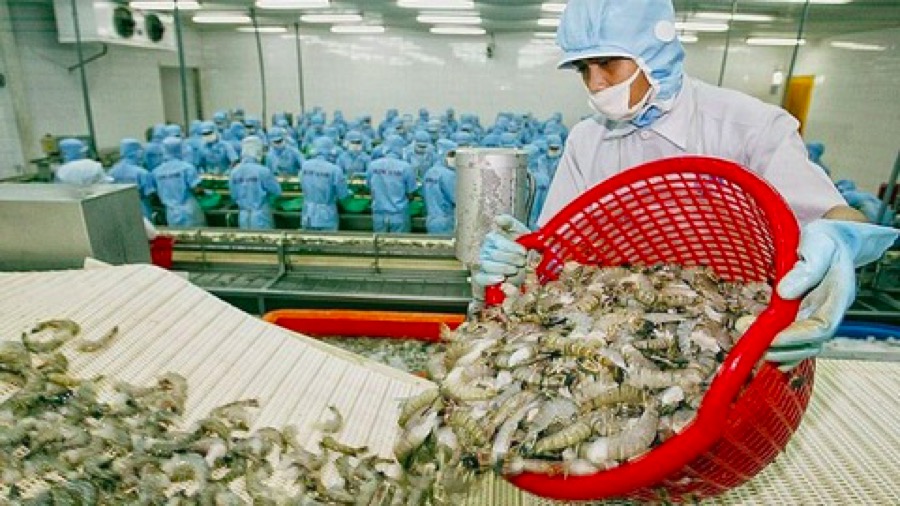 Hausse de 10 des exportations de produits aquatiques prévue en avril