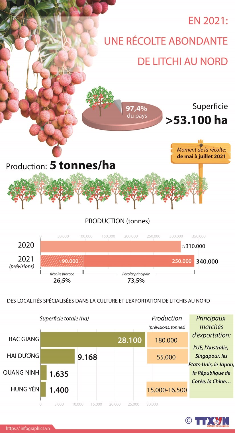 En 2021 une récolte abondante de litchi au Nord