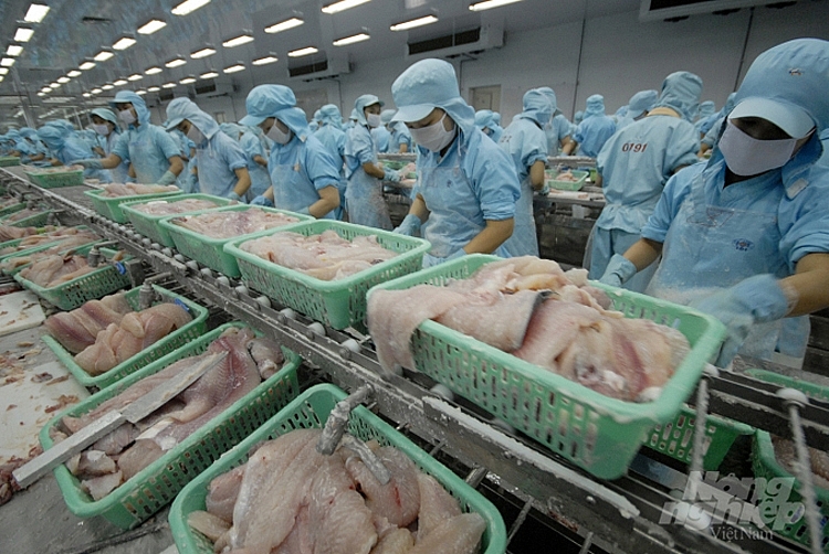 Les exportations de pangasius vers la Russie augmentent à nouveau fortement après de nombreuses années de silence