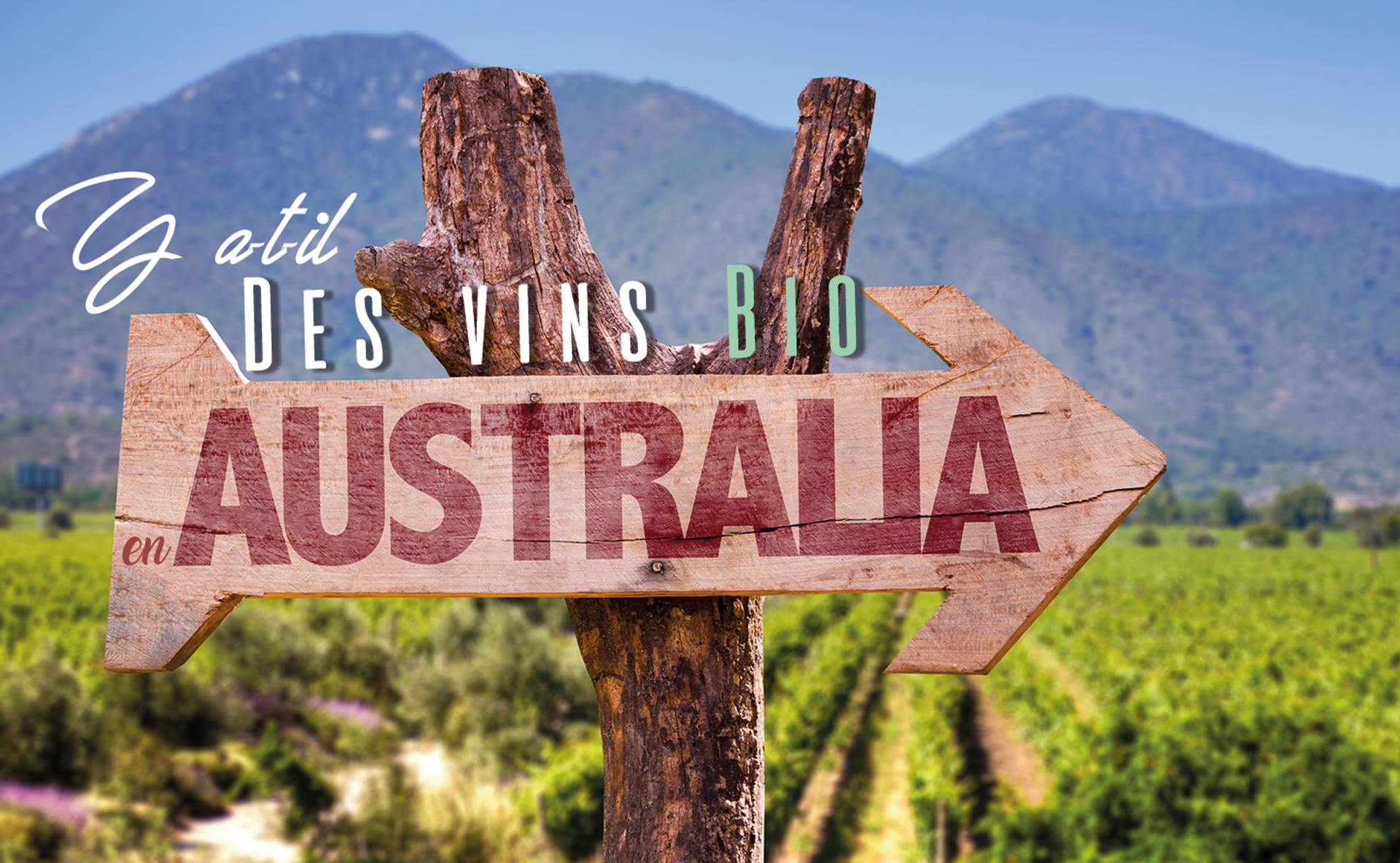 Les producteurs de vin australiens veulent exporter vers le marché vietnamien