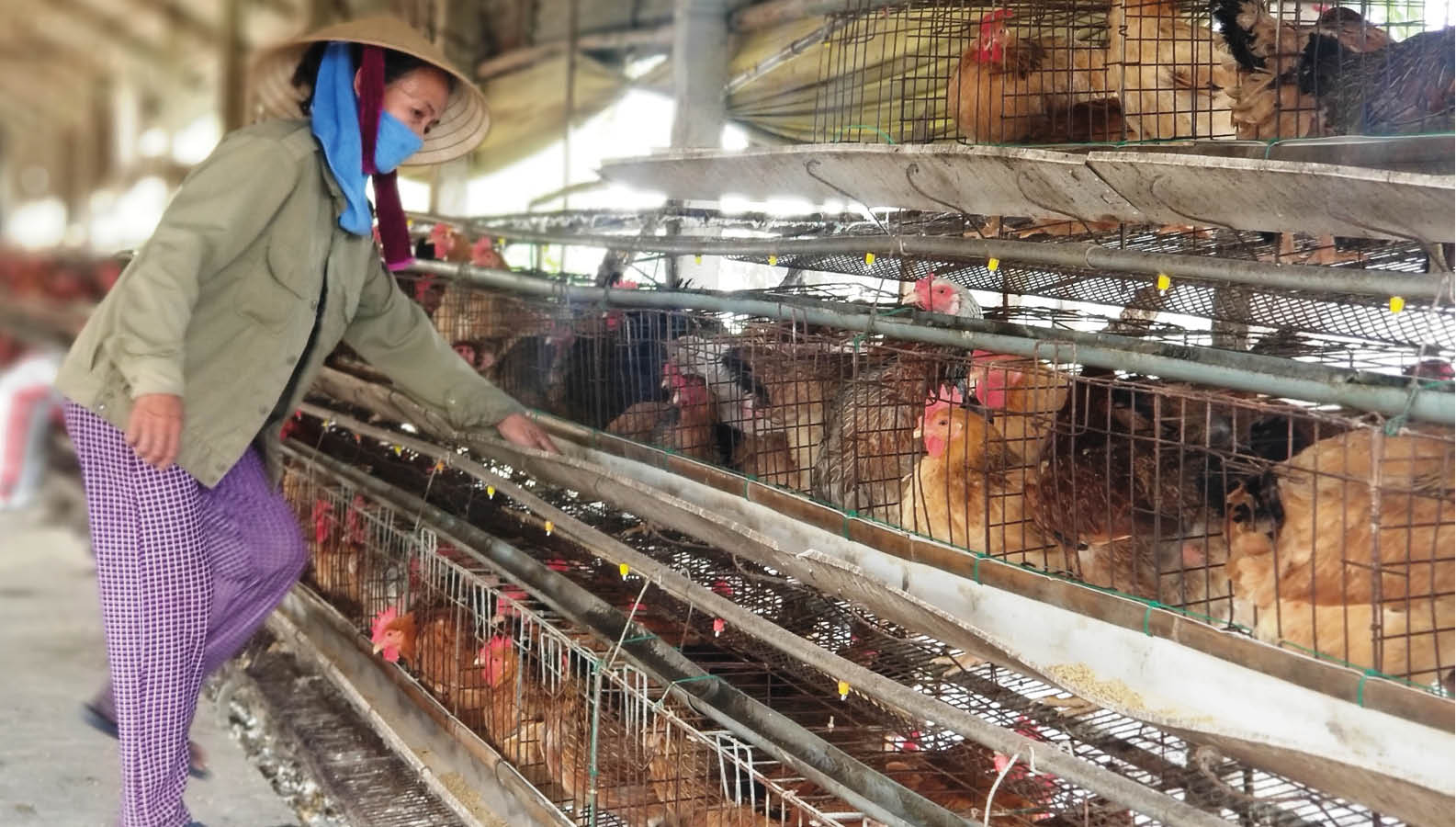 Les informations marquantes du 18 mai