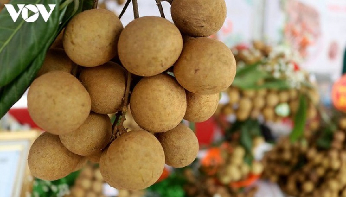 4 mois les exportations de fruits maintiennent le cap