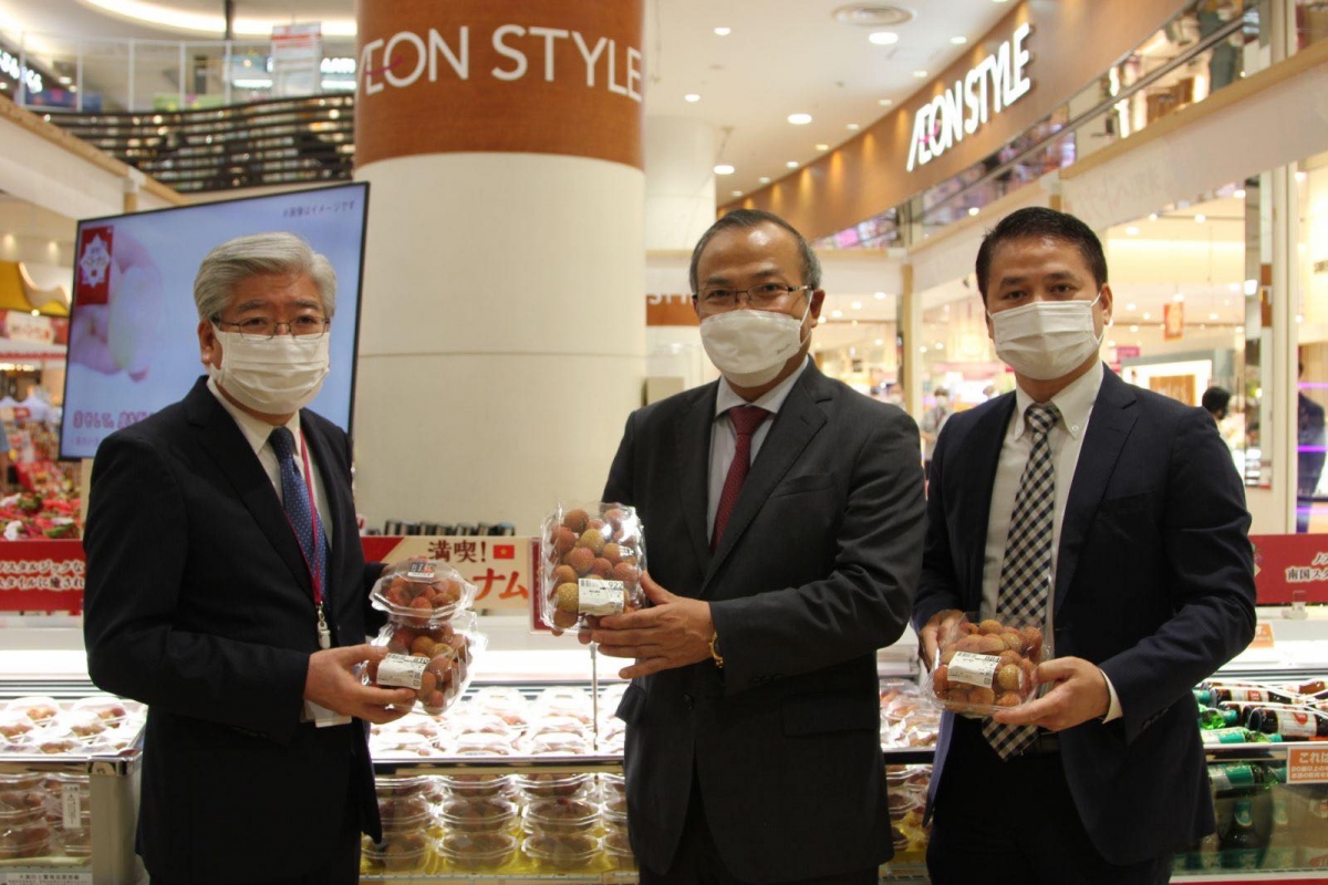 Les fruits frais vietnamiens sont très populaires au Japon