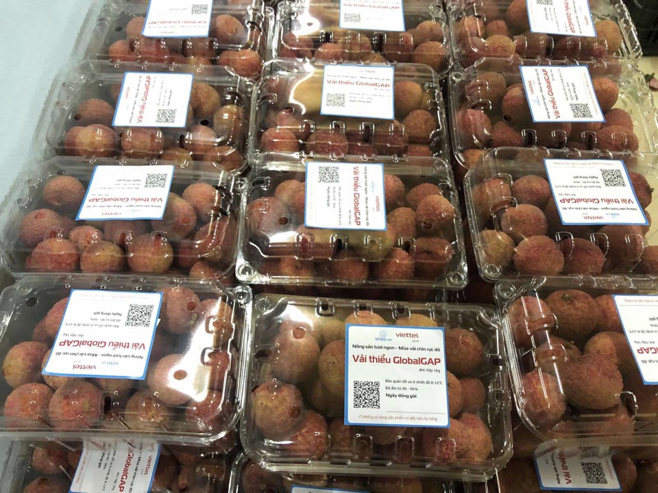 Le litchi vietnamien vendu en ligne pour la première fois en Europe