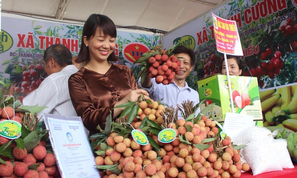 Introduire le litchi, le longane et le pitaya vietnamiens dans un grand réseau de distribution à Singapour