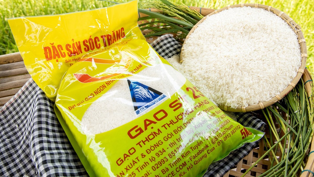 Les variétés de riz ST24, ST25 très populaires dans le monde