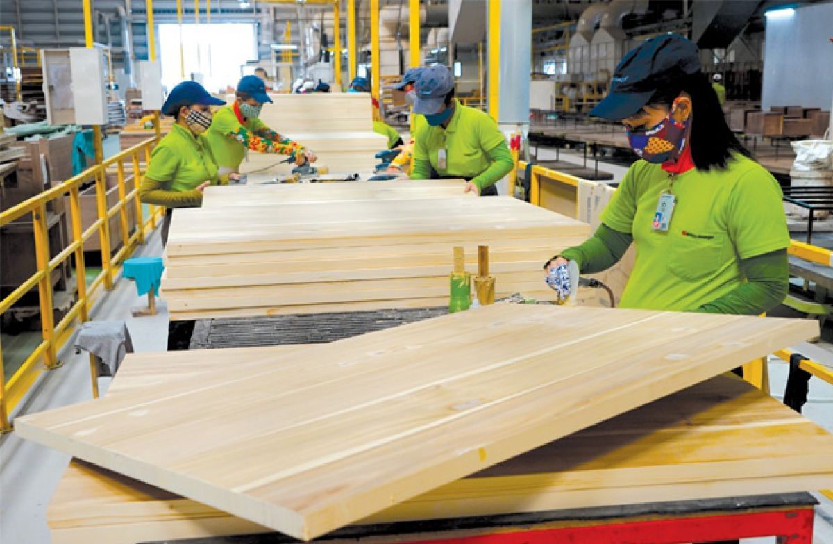 Produits forestiers excédent commercial de plus de 7,2 milliards d USD au 1er semestre