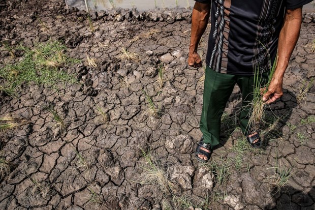 Une formation sensibilise au changement climatique dans les zones côtières