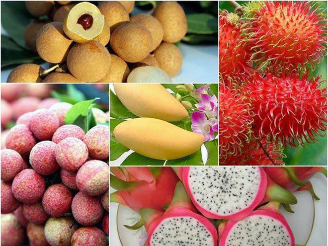 Les États-Unis, marché prometteur pour les fruits vietnamiens