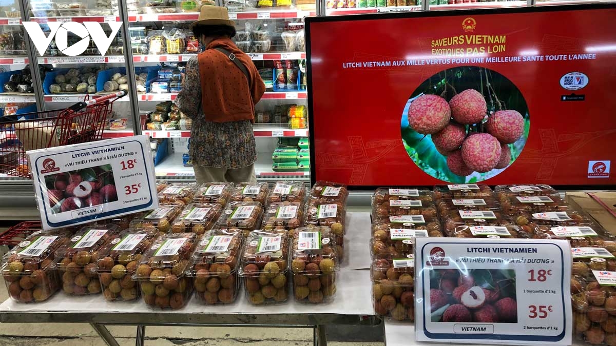 Retour réussi du litchi vietnamien sur le marché français