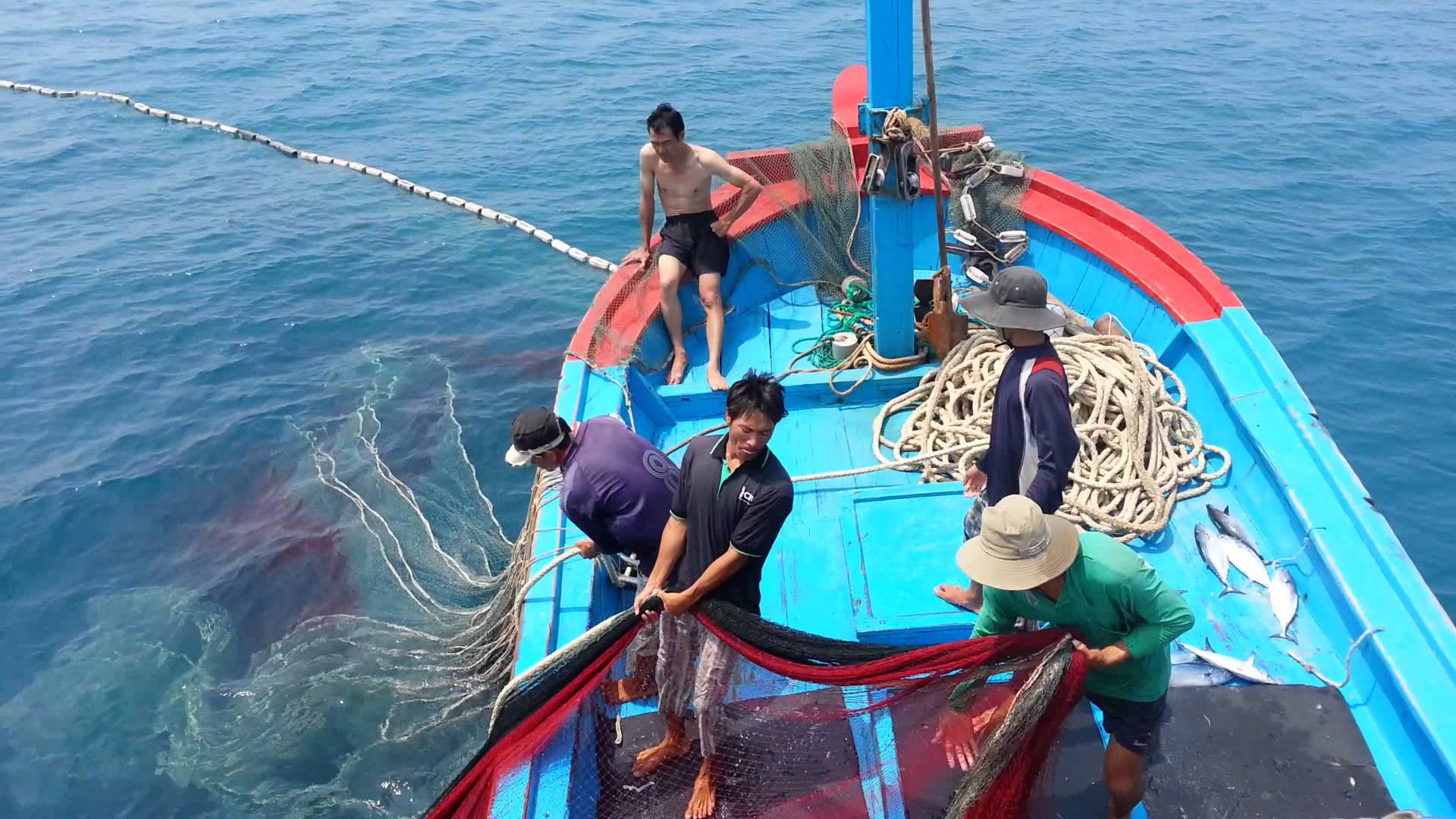 Le Vietnam est déterminé à faire retirer le carton jaune sur la pêche INN