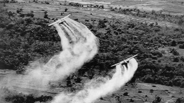 Plus de 500 oeuvres au concours d’écriture sur les séquelles de l’agent orange au Vietnam