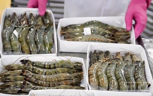 ​ La crevette vietnamienne domine de nombreux marchés
