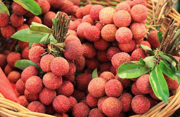 Le litchi thiêu du Vietnam à la conquête des consommateurs britanniques